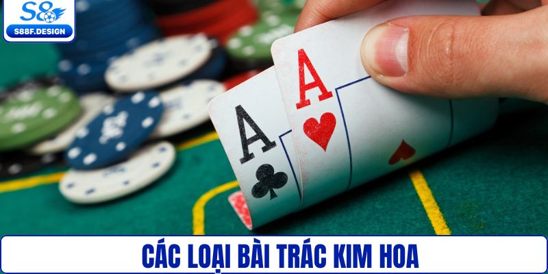 Các loại bài mà bạn cần biết