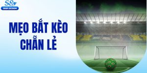 Mẹo bắt kèo chẳn lẻ chỉ có tại S8