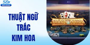 Một số thuật ngữ Trác Kim Hoa cần nắm